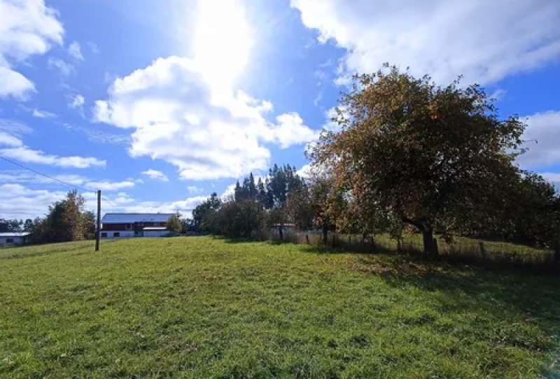Casa En Chifín Río Negro (Venta o Permuta) - Vista 4