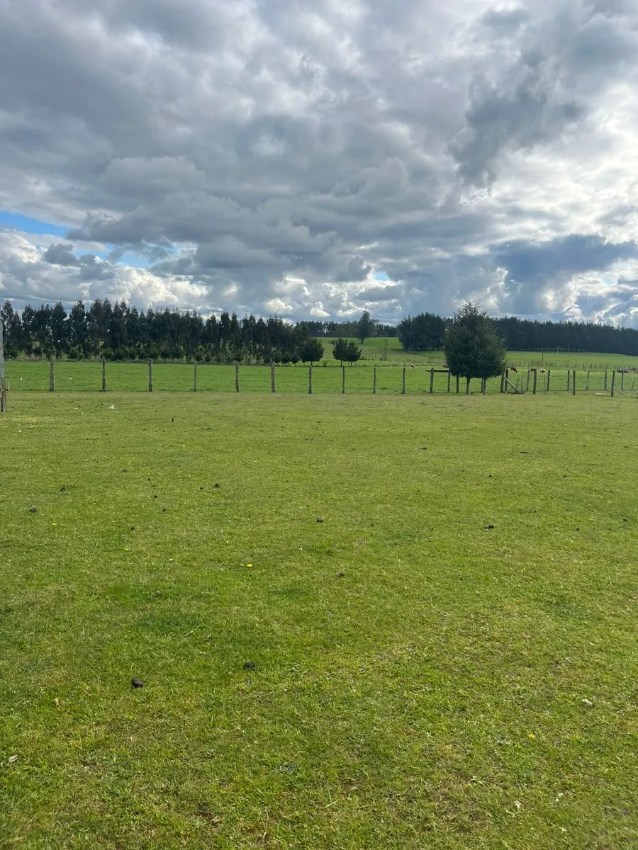 Hermosa Parcela Loteo Rincón Chileno, A Minutos De Purranque - Vista 3