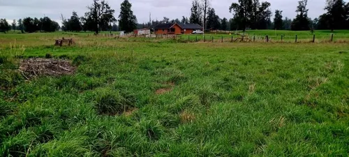 Económica Parcela De Agrado Sector Casa De Lata - Vista 4
