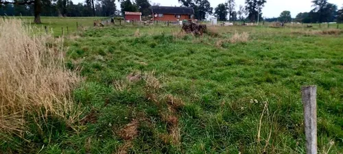 Económica Parcela De Agrado Sector Casa De Lata - Vista 6