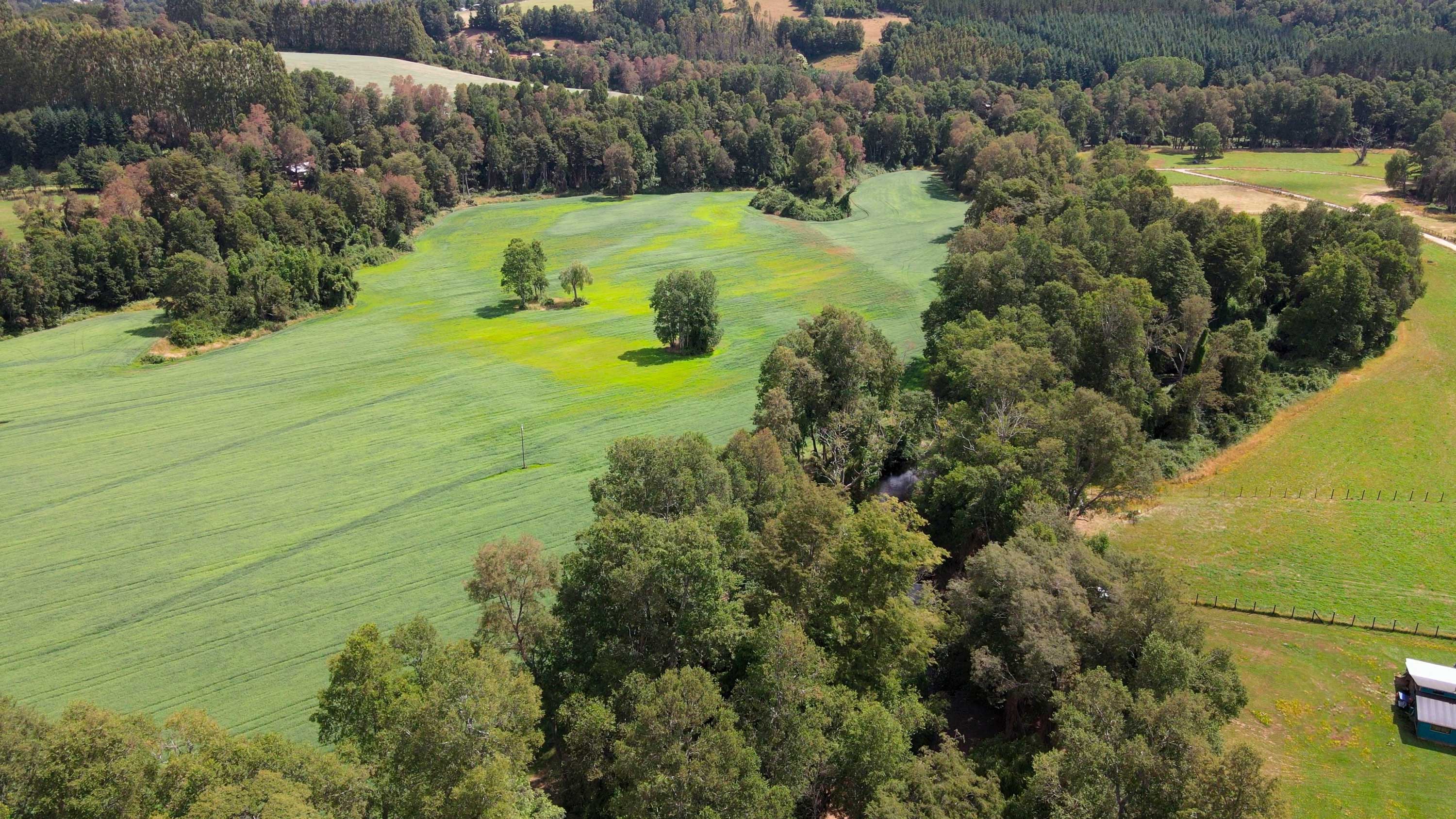 Parcelas Chaignal - Naturaleza y Alta Plusvalía en Los Ríos - Vista 1