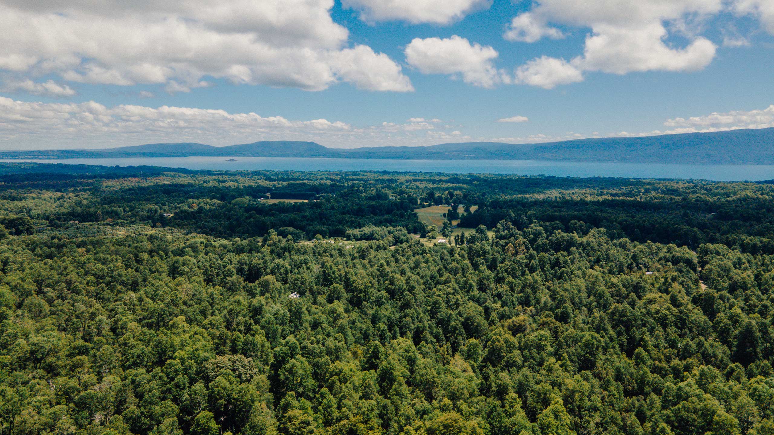 Bosques de Quilentue - Un Refugio Natural en Molco - Vista 1