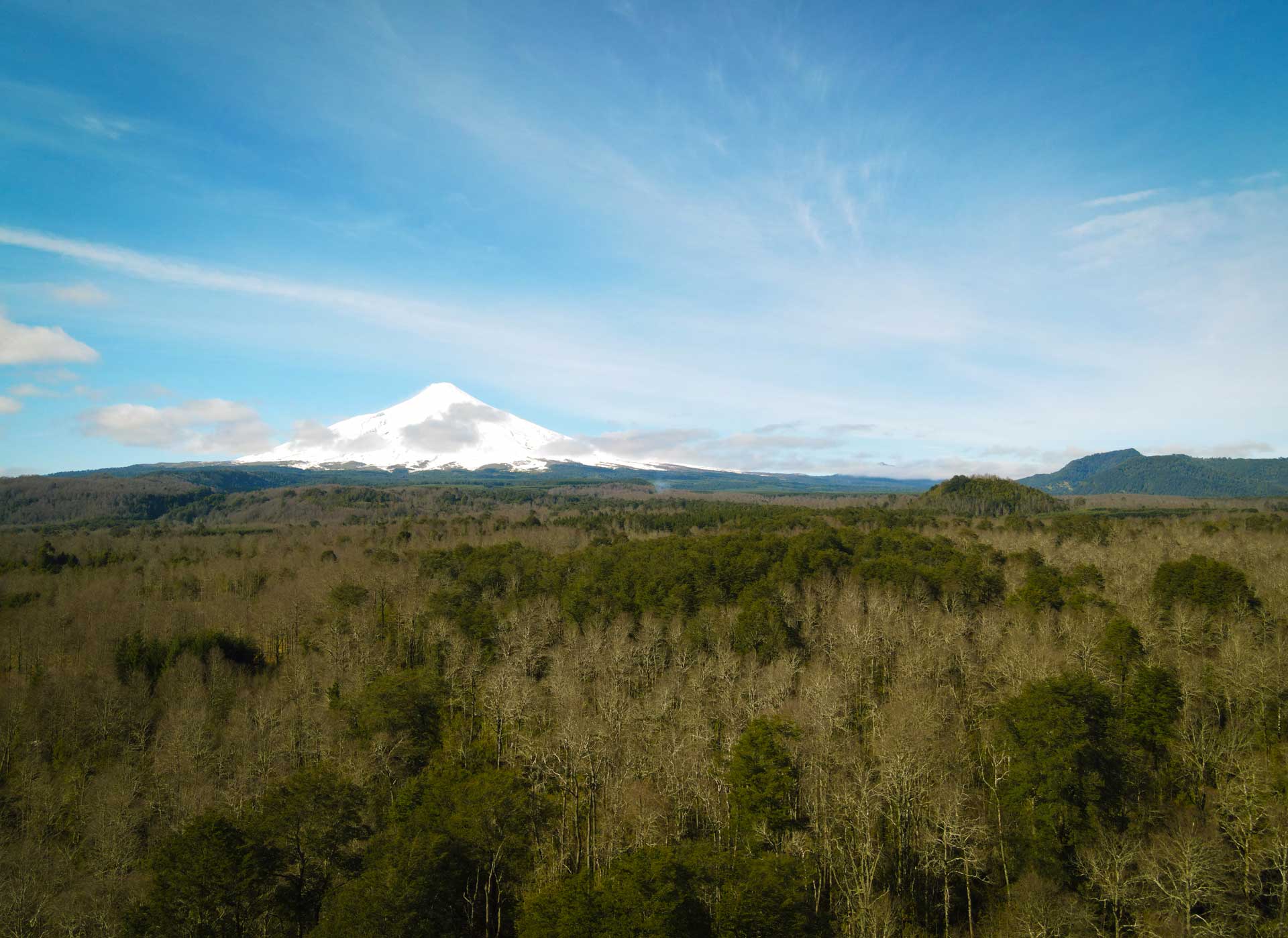 Bosques de Quilentue - Un Refugio Natural en Molco - Vista 2
