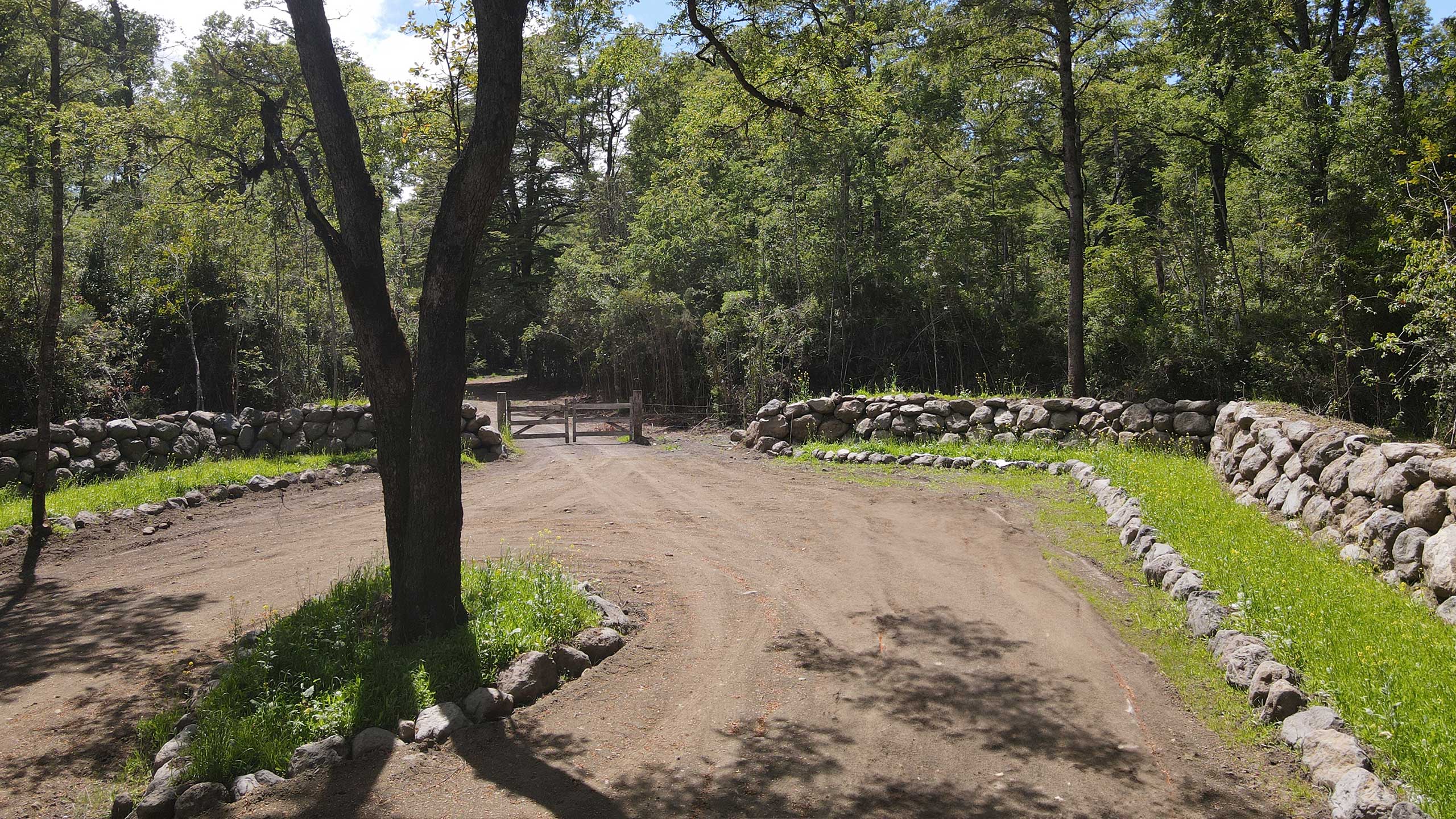 Bosques de Quilentue - Un Refugio Natural en Molco - Vista 5
