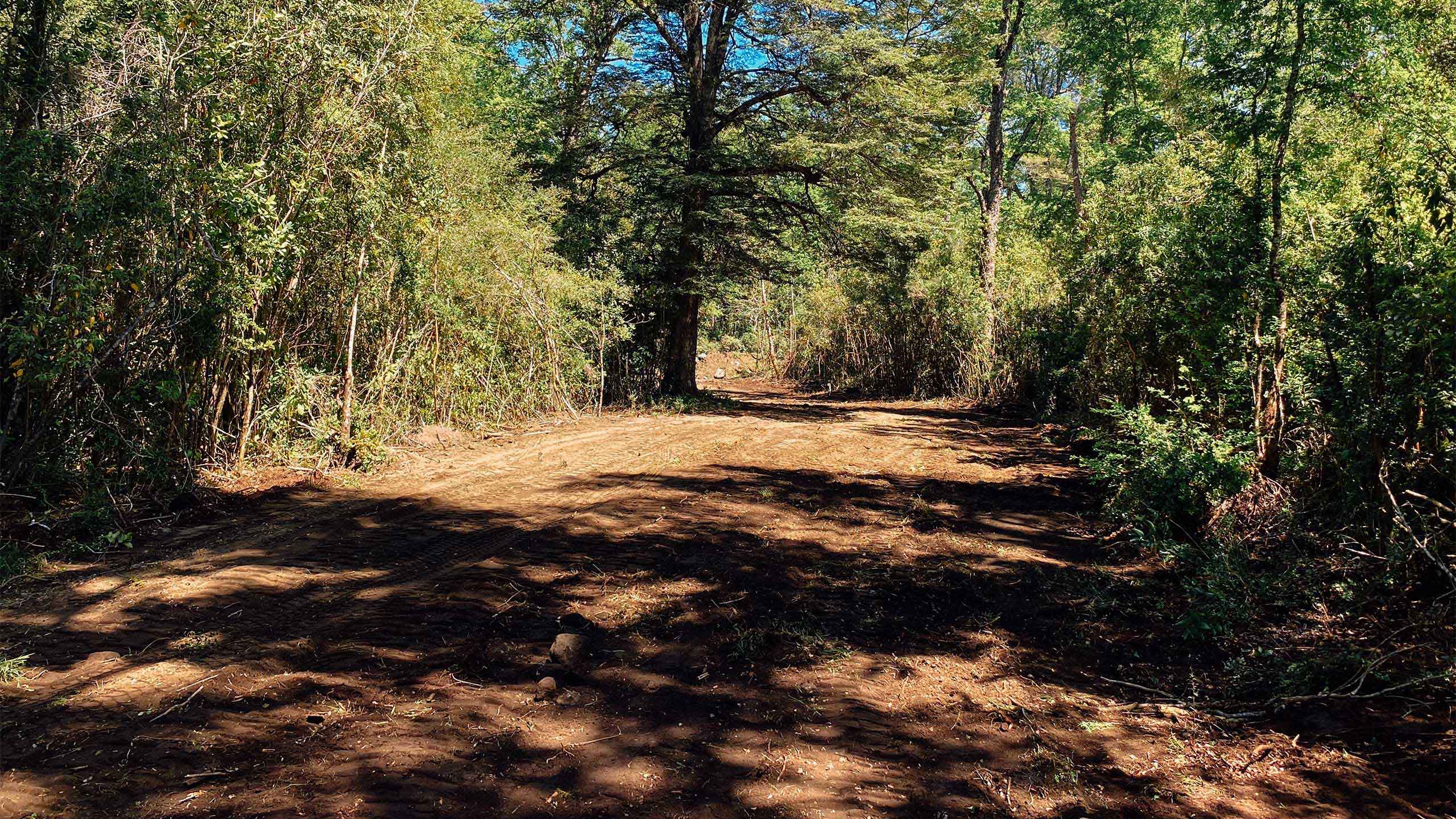 Bosques de Quilentue - Un Refugio Natural en Molco - Vista 6