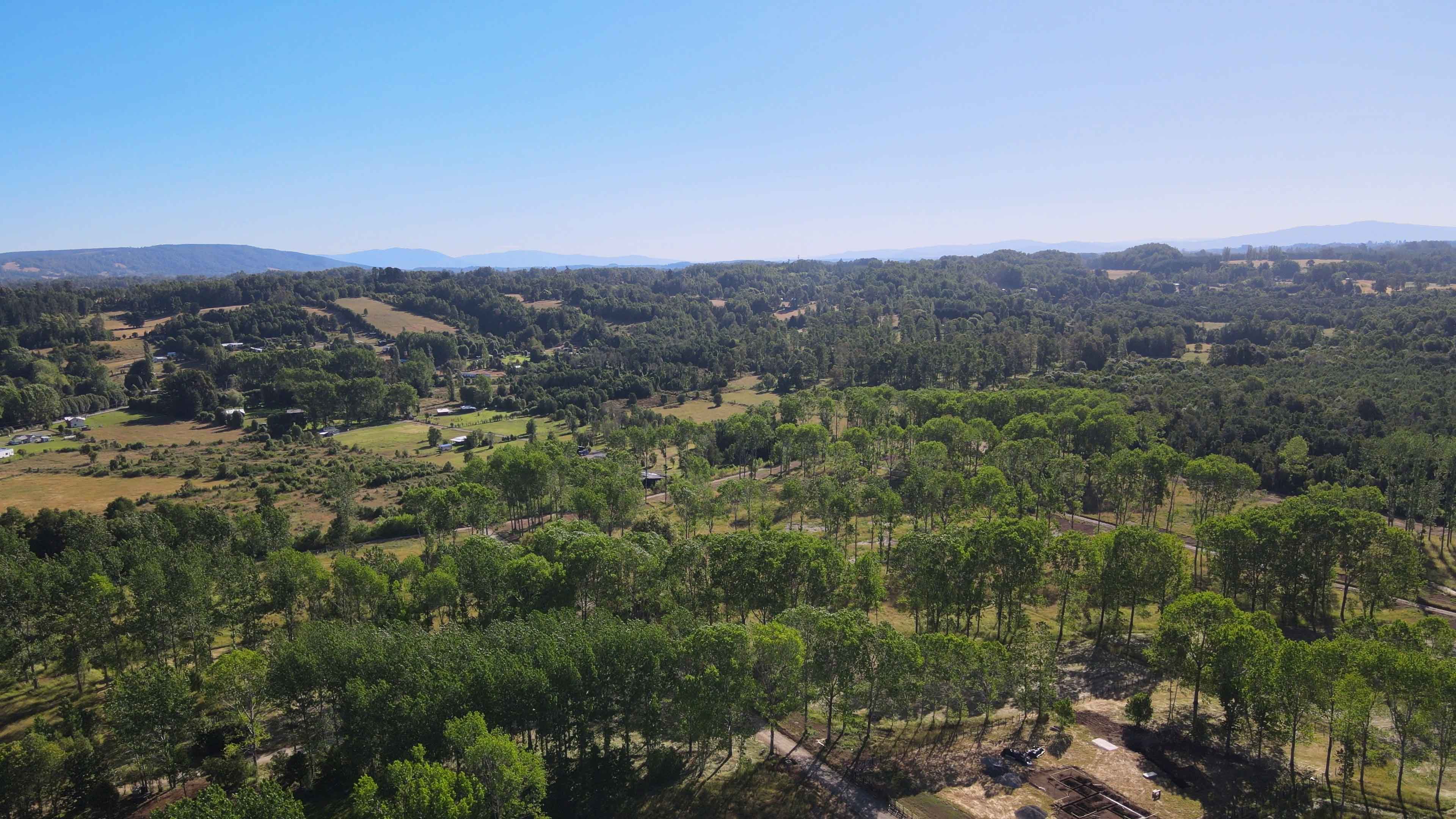 Parcelas Los Tordos - Tu Vida en la Naturaleza - Vista 5