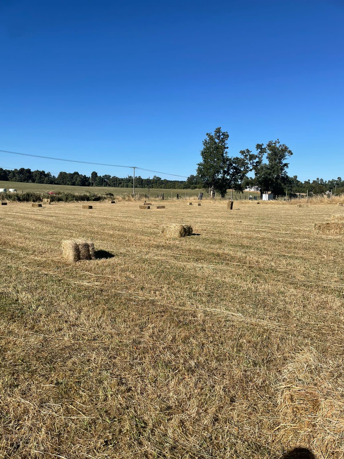 Parcela en venta – Sector Crucero, Purranque - Vista 1