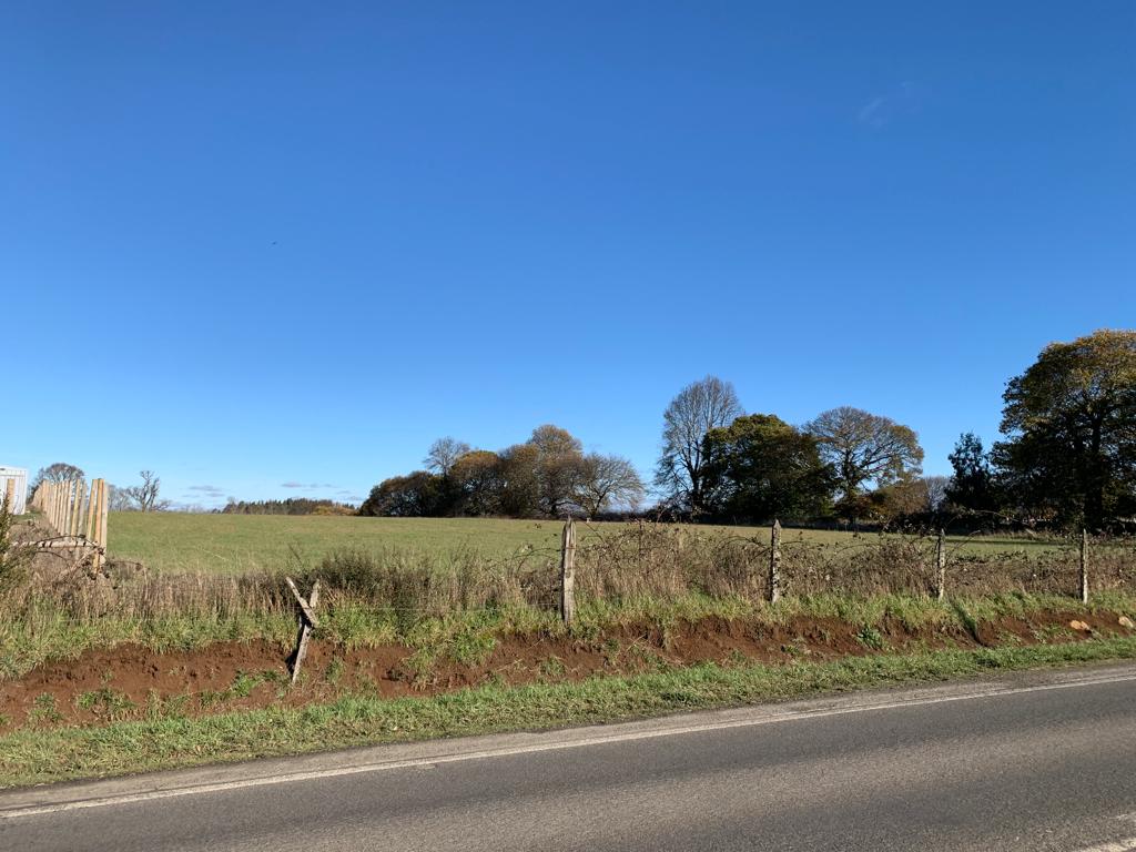 Parcela en venta – Sector Crucero, Purranque - Vista 2