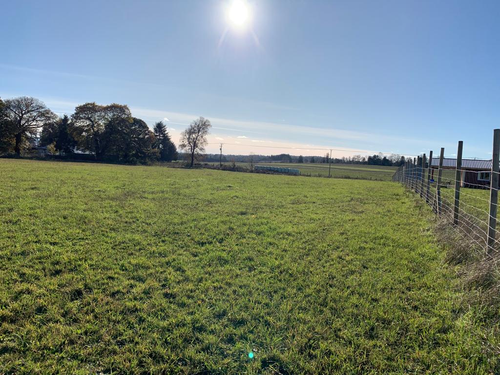 Parcela en venta – Sector Crucero, Purranque - Vista 3