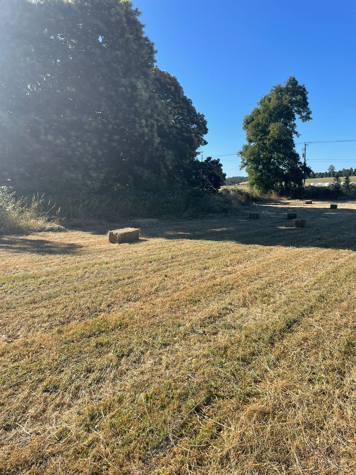 Parcela en venta – Sector Crucero, Purranque - Vista 4