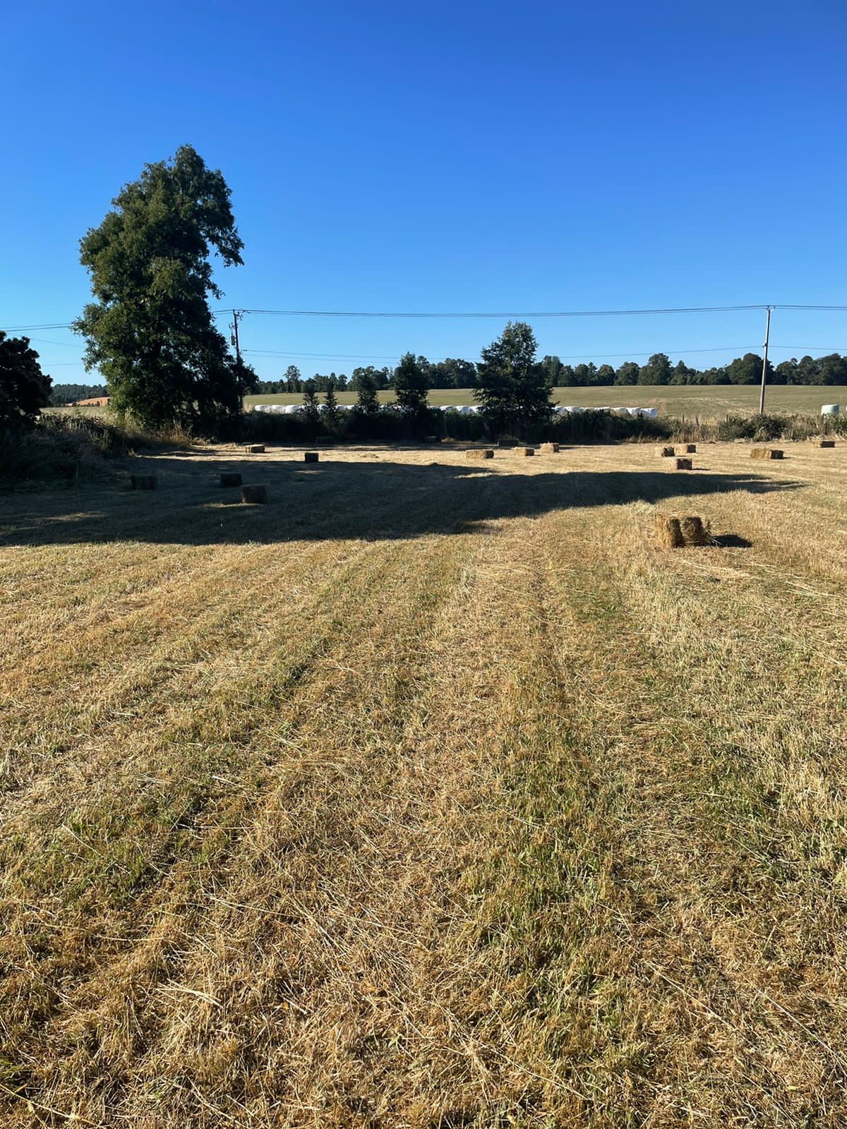 Parcela en venta – Sector Crucero, Purranque - Vista 5