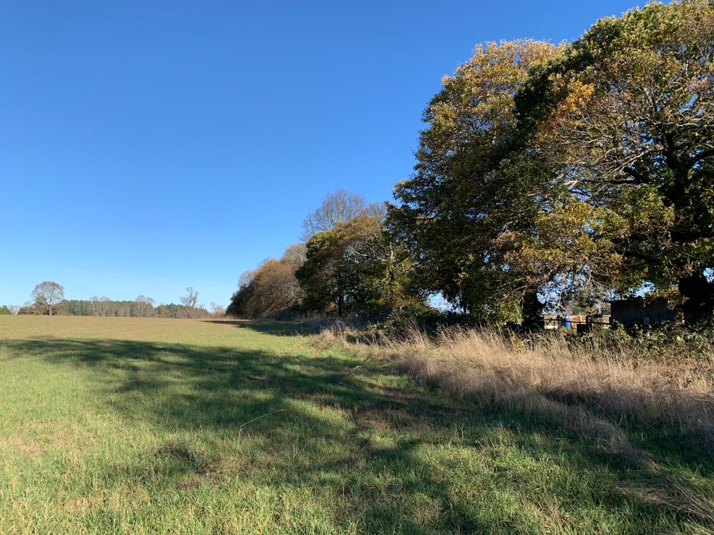 Parcela en venta – Sector Crucero, Purranque - Vista 9