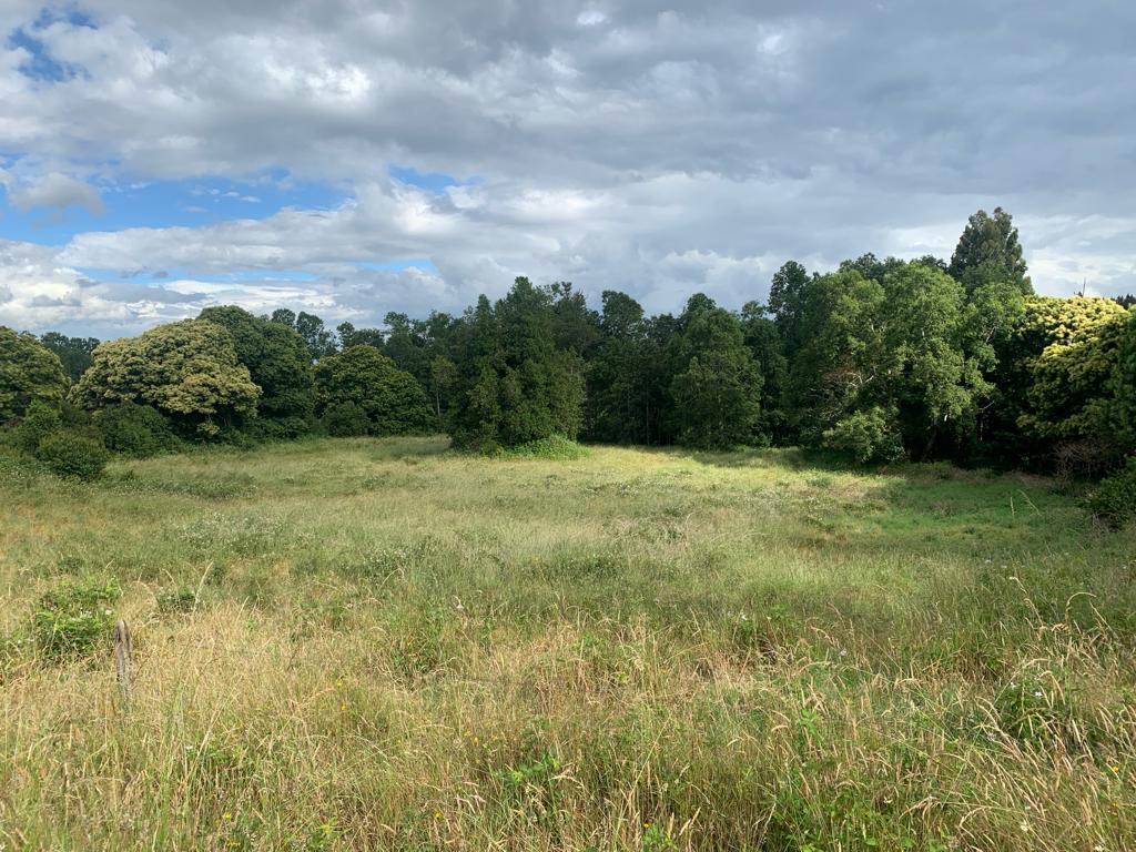 Parcela en venta – Sector Crucero, Purranque - Vista 1