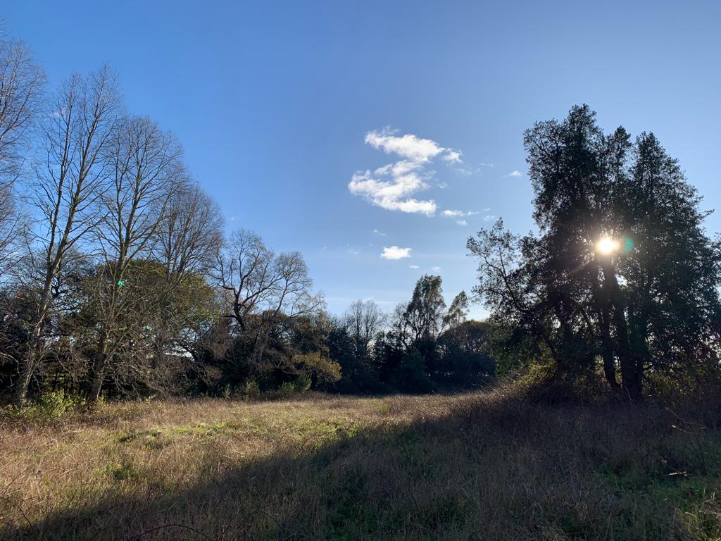 Parcela en venta – Sector Crucero, Purranque - Vista 15