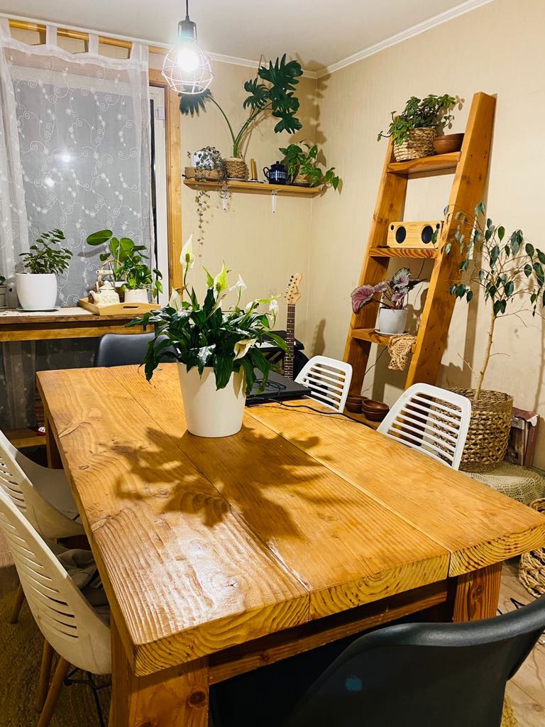 Hermosa casa ampliada en Jardín del Alto, Ovejería - Vista 12