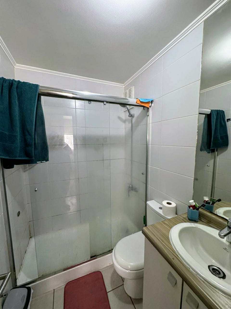 Departamento en Condominio Senderos de Bellavista, Av. Francia - Santiago - Vista 7