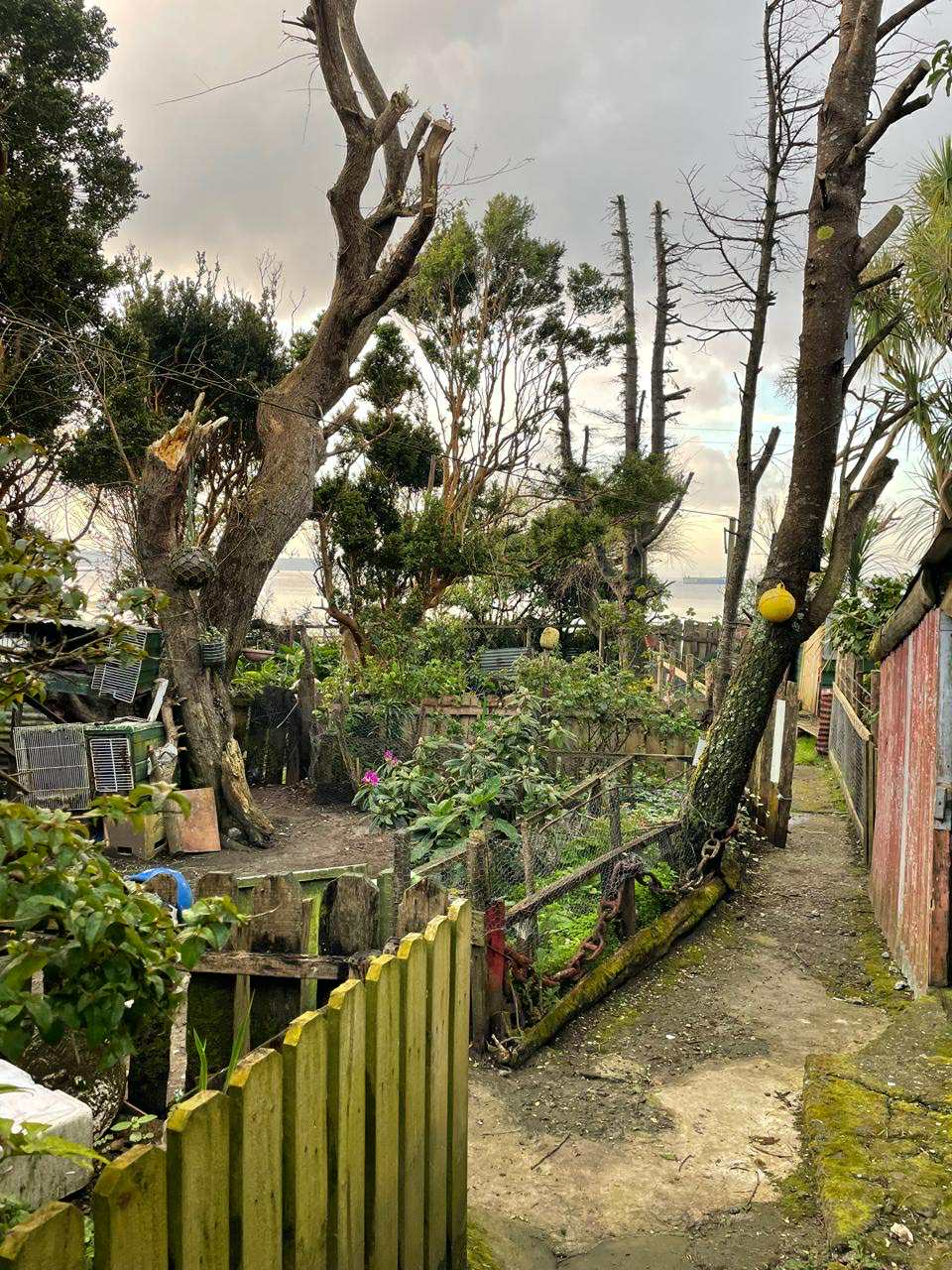 Gran Casa con Orilla de Playa en Ancud, Chiloé - Vista 13